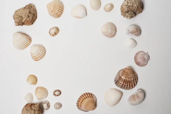 Shells Sand Concept Sea — Stock Photo, Image