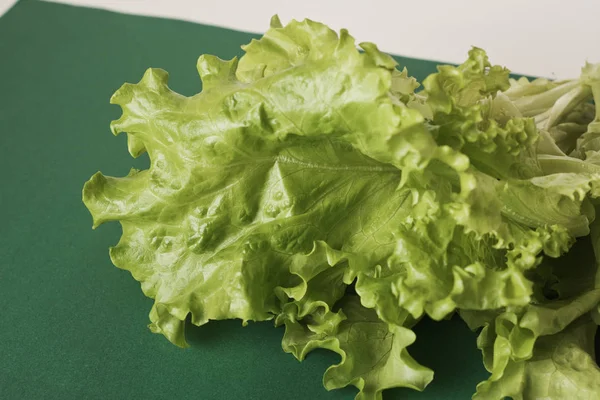Fechar Vista Salada Alface Fresca — Fotografia de Stock