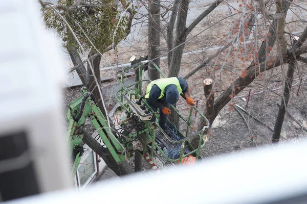 Tree pruning and sawing by a man with a chainsaw, standing on a platform of a mechanical chair lift on high altitude