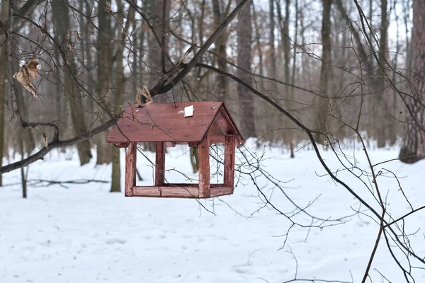 冬季森林中满是挂在树上的食物的鸟类喂食者 — 图库照片