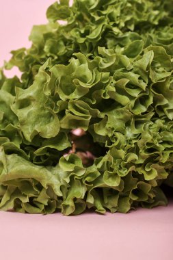 Taze marul salatasına yakından bak. 