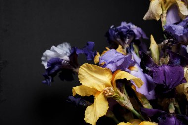 Bir buket süsen çiçeği, yakın görüş..