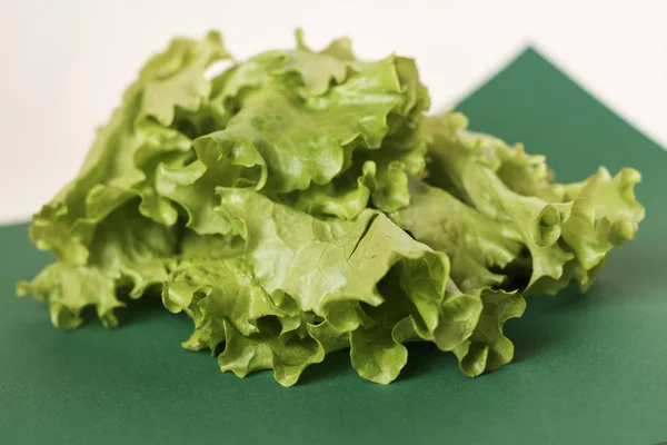 Close View Fresh Lettuce Salad — ストック写真