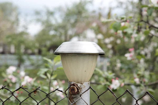 Garden lighting - lantern and fence in beautiful garden