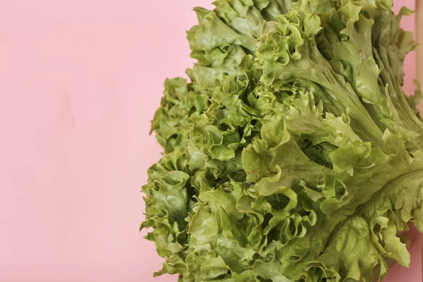 Blick Auf Frischen Salat — Stockfoto