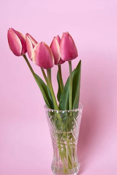 Bouquet Beautiful Tulips Vase Pink Background Celebration Concept — Stock Photo, Image