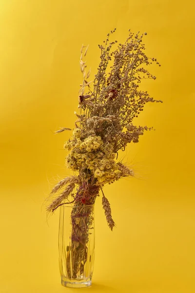 Gedroogde Planten Bloemen Gele Achtergrond — Stockfoto