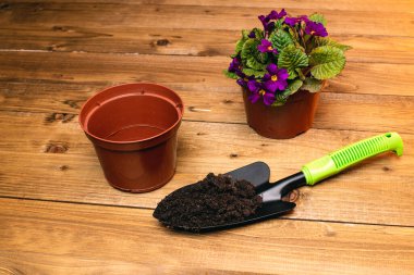 Menekşe çiçekleri, saksıları, bahçe küreği ve ahşap masadaki toprağı olan güzel bir bitki.