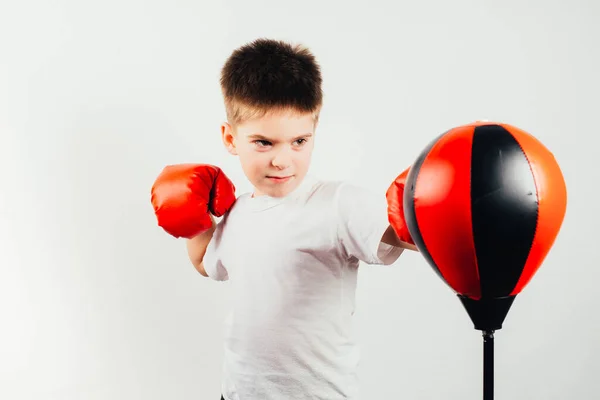 serious boy in boxing gloves training and boxing on grey background