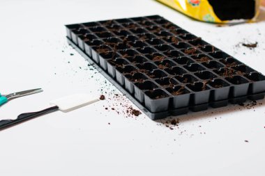 Tohum ekmek için toprağı olan kabın yakın görüntüsü