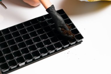 Toprağa tohum eken kişinin kısmi görüntüsü