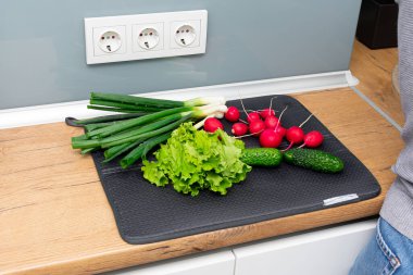 Taze salata yaprakları, yeşil soğan, turp ve salatalık mutfakta.