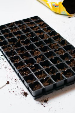 Tohum ekmek için toprağı olan kabın yakın görüntüsü