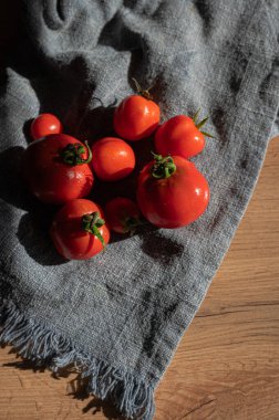 Renkli bir domates çeşidi, dokulu gri kumaş üzerine dizilmiş, mevsimlik tarifler için mükemmel.