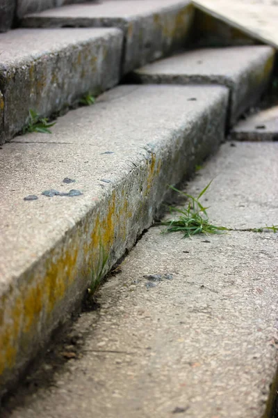 Vintage žula, kámen, nebo beton schody a schody zblízka zarostlé trávou na molu u moře. — Stock fotografie