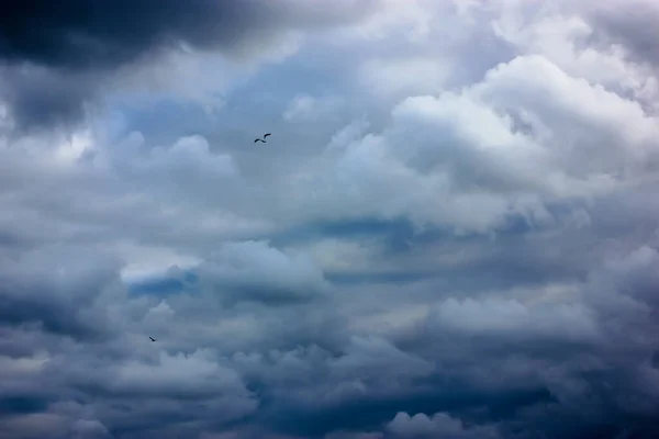 Burzliwe Błękitne Niebo Kręconymi Białymi Chmurami Morzu Latem Mewą Lub — Zdjęcie stockowe