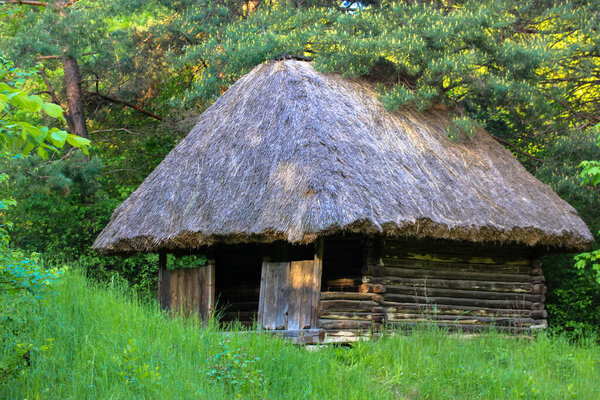 A wooden house in the forest. An old dilapidated hut with an old straw roof. Cozy place to relax in the bosom of nature in summer. Ukrainian Carpathians.