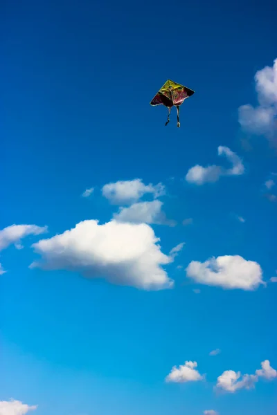 A bright kite into the sky in summer outdoors: vacation in the park. — Stock Photo, Image