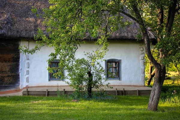 春天或夏天的典型乌克兰风景：白色粘土小屋，有稻草屋顶，前景一片树. — 图库照片