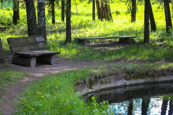 Banco velho de madeira perto de uma lagoa pitoresca na floresta, reflexão em águas claras — Fotografia de Stock