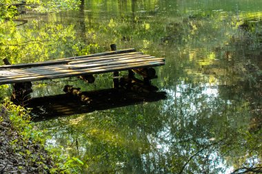 Ormandaki pitoresk bir gölette ahşap eski bir köprü, berrak sudaki yansıma.
