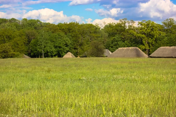 乌克兰风格房屋的大绿地和稻草屋顶 — 图库照片