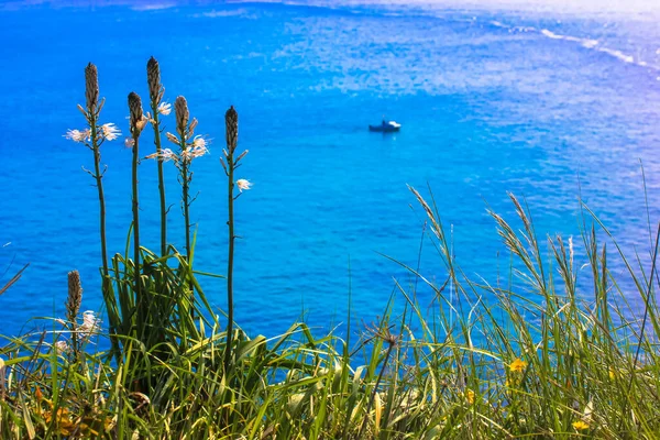 Grama verde contra um fundo de oceano azul no verão e um pequeno barco na horizontal — Fotografia de Stock