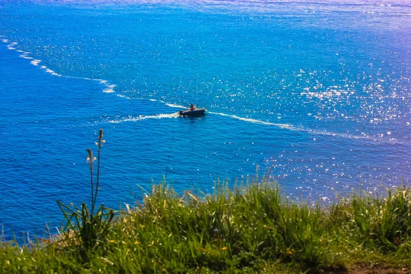 Зеленая трава на фоне голубого океана летом и маленькая лодка на горизонте — стоковое фото