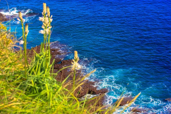 碧绿的青草映衬着蓝色的大海 还有一条水平的小船 — 图库照片