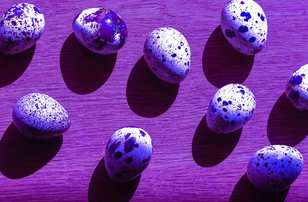Quail eggs in large quantities on a purple background — Stock Photo, Image