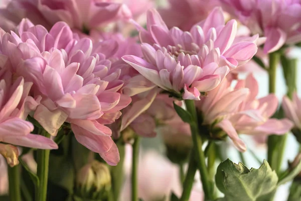 Bouquet Fleurs Automne Chrysanthèmes Roses Dans Vase Verre Vert — Photo