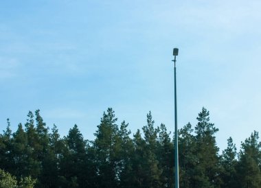 Mavi gökyüzüne ve yeşil çamların tepesine karşı sokak lambası