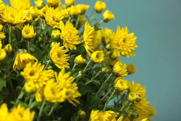 Bukiet Żółtych Chryzantemy Szklanym Wazonie Jesienne Kwiaty — Zdjęcie stockowe