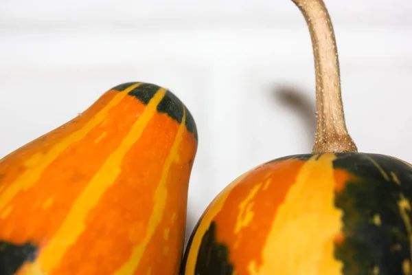Dekorativa Små Orange Gröna Pumpor Vit Bakgrund Höstskörd Väntan Halloween — Stockfoto