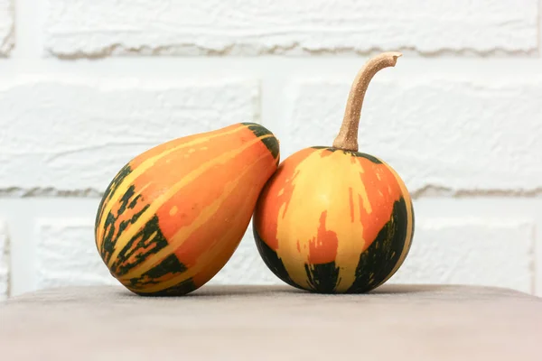 Dekoratív Kis Narancs Zöld Tök Fehér Alapon Őszi Betakarítás Halloween — Stock Fotó