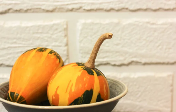 Dekorativa Små Orange Gröna Pumpor Vit Bakgrund Höstskörd Väntan Halloween — Stockfoto