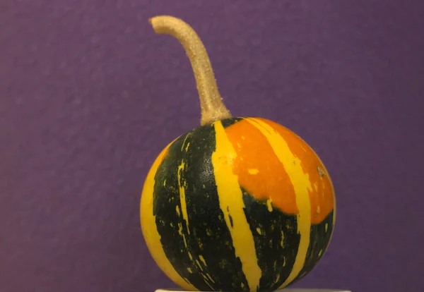 Pequeñas Calabazas Decorativas Color Verde Anaranjado Sobre Fondo Blanco Cosecha —  Fotos de Stock