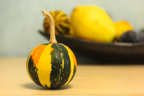 Pequeñas Calabazas Decorativas Color Verde Anaranjado Sobre Fondo Blanco Cosecha —  Fotos de Stock