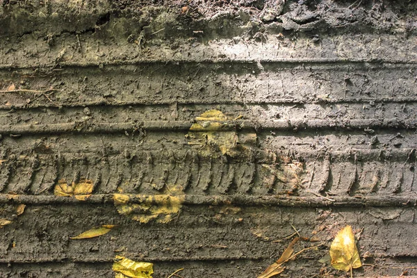 Autoreifenspuren Auf Getrocknetem Schlamm Und Gelbem Laub Herbst Hintergrund — Stockfoto