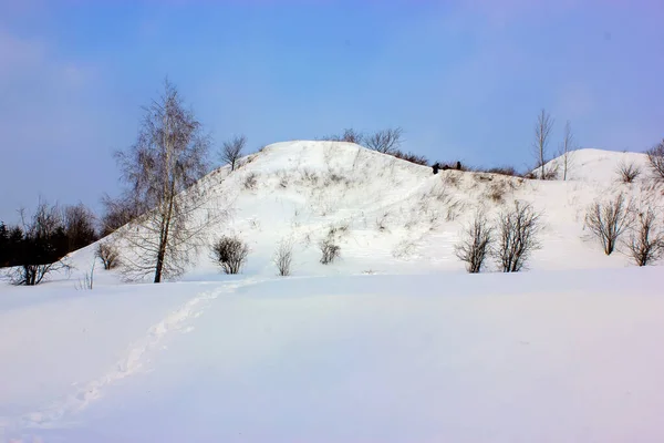 Hermoso Tranquilo Paisaje Invernal Día Soleado Parque Sendero Pisoteado Nieve — Foto de Stock