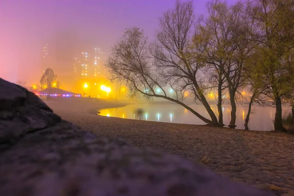 夜の街の灯 霧の中の家や川の近くの木 — ストック写真