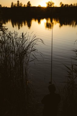 Gölün kenarında altın ışıkta bir insanın siluetinin olduğu sakin bir gün batımı balık tutma sahnesi. Uzun otlar, sazlıklar ve ağaçlarla çevrili sakin bir gölet ya da nehir. Su, sıcak altın ışığı yansıtır..