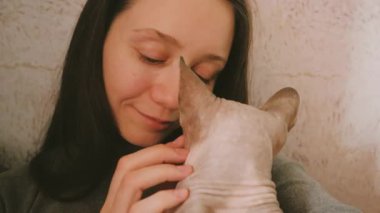 Evde bir kadınla rahatlayan sevimli, tüysüz bir Sfenks kedisi. Rahat ev ortamında kedi arkadaşı, sevimli hayvan anları, hayvan ve insan yaşam tarzı konsepti, aşk ve duygusal refah..