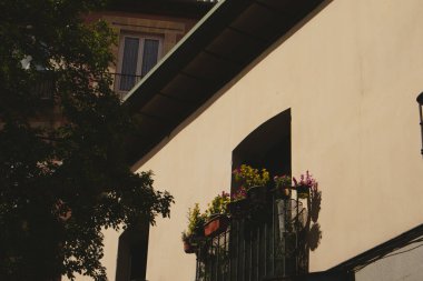 Güneşli bir binanın ön cephesinde çiçeklerle süslenmiş büyüleyici bir balkon. Sıcak güneş ışığıyla yıkanmış renkli çiçeklerle dolu rahat bir balkon. Sahne bir sakinlik ve Avrupa cazibesini çağrıştırıyor.