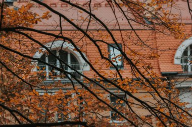 İnşaat ve ağaç dallarıyla sonbahar sahnesi. Ağaç dalları ve renkli yapraklarla çerçevelenmiş kemerli pencereleri olan bir binayı gösteren büyüleyici bir sonbahar sahnesi çekiliyor. Sonbahar mevsiminde sıcacık şehir.