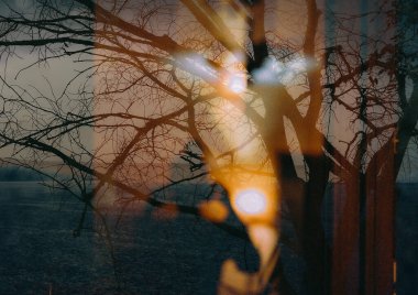 Yumuşak, bulanık gün batımına karşı çıplak ağaç dalları. Görüntü, bir ağaç siluetinin sessiz bir günbatımına karşı sakin bir görüntüsünü yakalıyor, ışık patlamalarıyla rüya gibi, atmosferik bir etki yaratıyor..