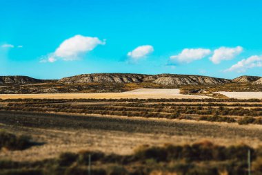 Yuvarlanan tepeler ve ekilmiş tarlalar mavi bir gökyüzünün altında dağınık bulutlar, sakin bir manzara yaratıyor. Yuvarlanan tepeler, tarlalar ve kabarık bulutlu parlak mavi bir gökyüzü içeren manzaralı bir manzara..