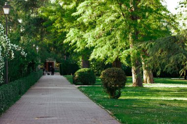 Güneşli, güzel bir parkın içinden geçen pitoresk bir patika. Canlı ağaçlar ve manikürlü çitlerle çevrili yemyeşil bir park boyunca uzanan sakin bir patika yumuşak güneş ışığıyla yıkanır..