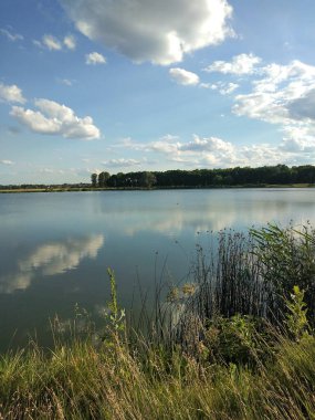 Göl kenarında yaz günü