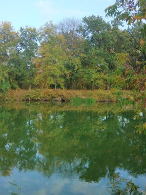 Doğanın altın sonbahar hediyesi